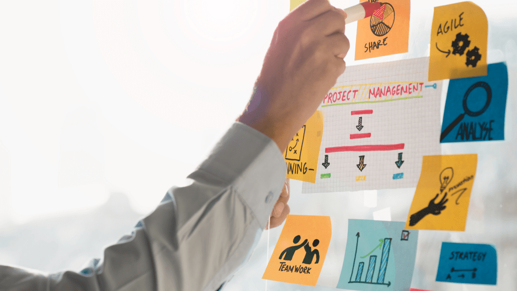 Offshore App Development Management